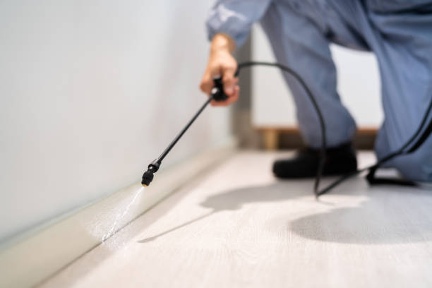 Bed Bug Pre-Treatment Preparation Assessment in Wink