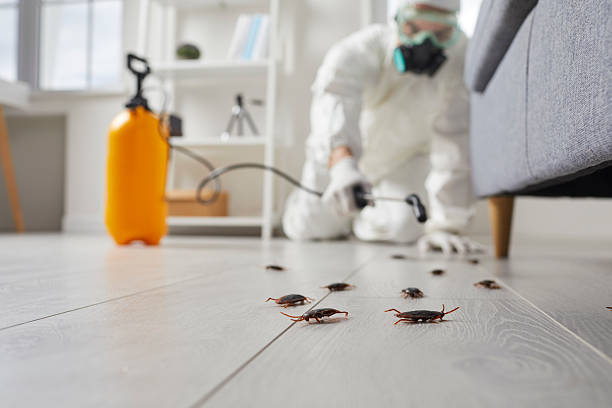 Post-Treatment Bed Bug Interceptor Monitoring in Wink